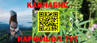 spice Кингисепп