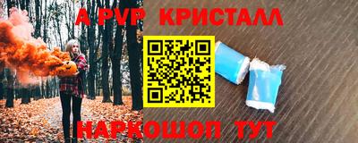 spice Кингисепп