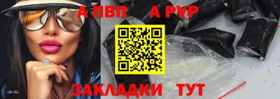spice Кингисепп