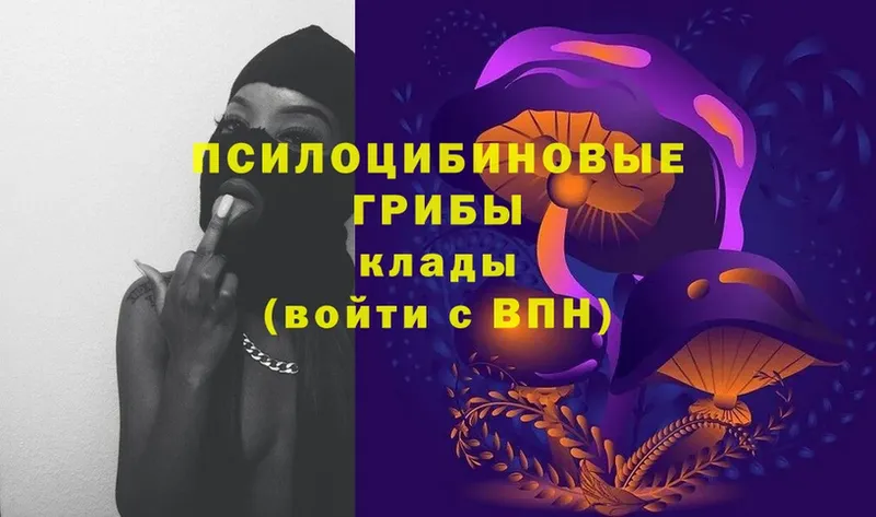 Псилоцибиновые грибы Cubensis  Волхов 